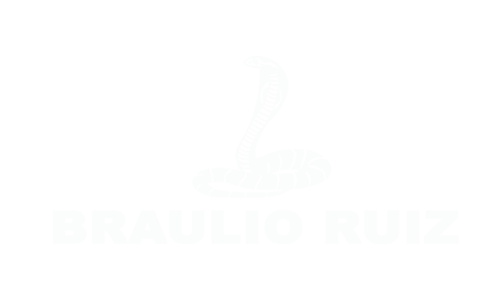 LogoBraulioRuiz25